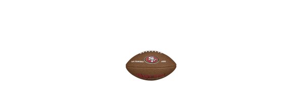 F1533XB NFL Team Mini Ball von Wilson