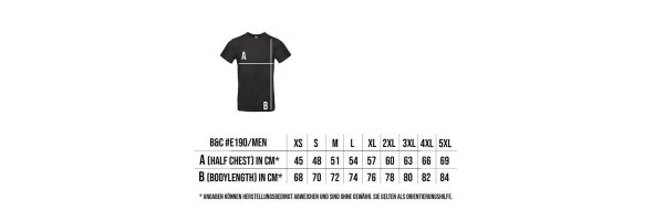 Neuwied Raiders T-Shirt &quot;Schriftzug&quot;, Men, Grey