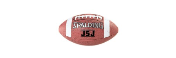 J5J Lederball von Spalding